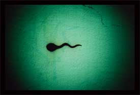 sperm donation genesiscyprus