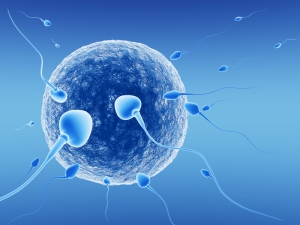 The Reason Why Sperm Donation is Still On Top of the Infertility Solutions List